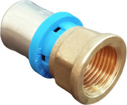 Rinaldi Pettinaroli Female Pipe Niple Fittings Multilayered Pipe Φ20Χ1/2"X2mm 3684020301