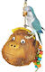 Java Wood Parrot Cage Game 40x20cm