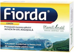 Plantextrakt 100mg 30 ταμπλέτες Plantextrakt 100mg 30 ταμπλέτες