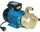 Tellarini Einphasen-Transferpumpe mit Leistung 1.2hp