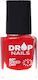 Drop Cosmetics Glossy Βερνίκι Νυχιών 342 (Claret)