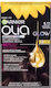 Garnier Olia Hair Dye no Ammonia 60gr