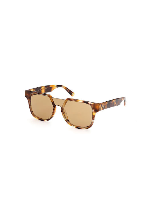 Web Sunglasses with Brown Tartaruga Plastic Frame and Brown Lens WE0315 41F