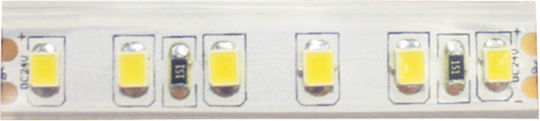 Aca Αδιάβροχη Ταινία LED 24V Θερμό Λευκό Φως 1m Τύπου SMD2835