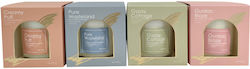TnS Glass Candle