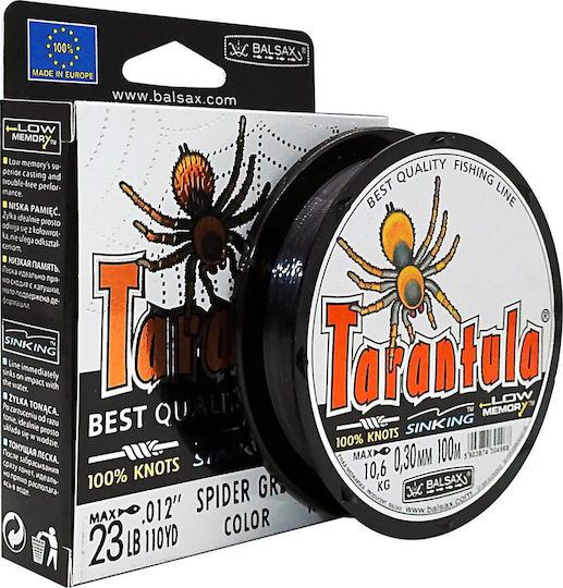 Balsax Tarantula Fishing Line Gray Diameter 0.30mm