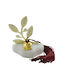 Happyness Tabletop Lucky Charm Gold 1pcs