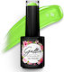 Gellie Halb-permanenter Nagellack SS14 10ml 1St...