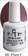 N&M Nails Хибриден Лак за Нокти Plum 09 15мл 1бр