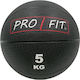 Profit Ball Medizin 5kg