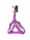 Pet Camelot Σαμαράκι Σκύλου Μωβ 3505-Purple)