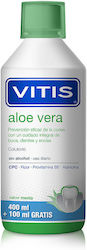 Vitis Aloe Vera
