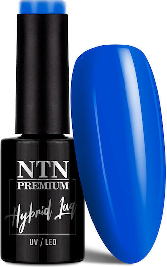 NTN Premium Semi-Permanent Nail Polish springtime selfie Nr287 5ml 1pcs