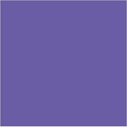 Fabriano Canson Cardboard 70x100cm Purple