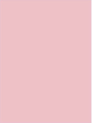 Fabriano Canson Cardboard Pink 70x100cm