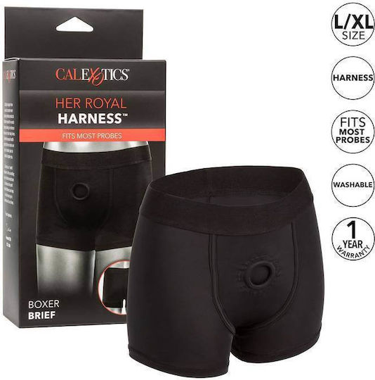Calexotics Her Royal Harness Boxer Unterwäsche in Schwarz Farbe