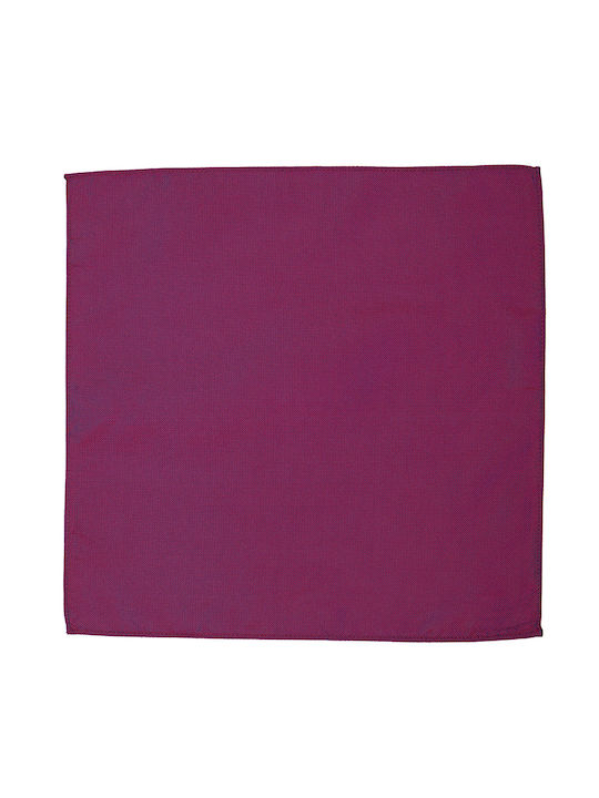 Donini Uomo Exclusive Men's Scarf Purple