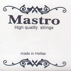 Mastro Set of Strings for Electric Guitar Electric 044