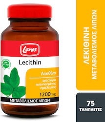 activlab l-carnitine plus green tea opinie CLA z zielon herbat + L-karnityna Olimp60kaps Swanson L-karnityna 500 mg 30