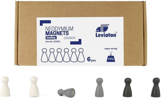 Leviatan Neodymium Magnet 6pcs