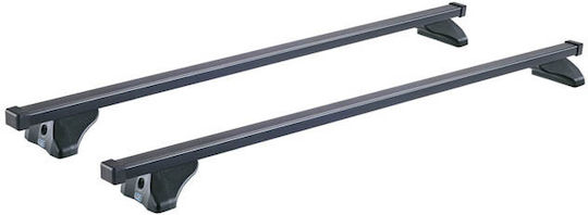 Auto Gs 120cm. (with Roof Rack Legs) Silver