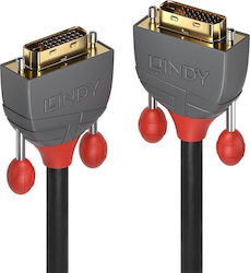 Lindy DVI-D мъжки - DVI-D мъжки 36225