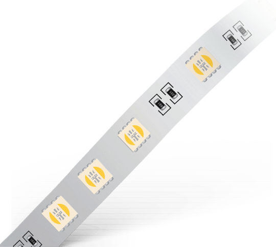 Geyer Waterproof LED Strip 24V RGBW Light 5m