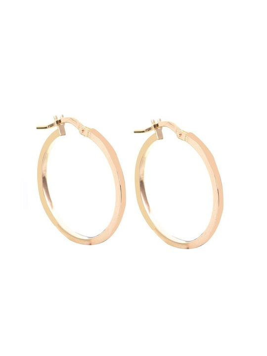 Paraxenies Earrings Hoops made of Gold 9K