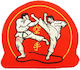 Olympus Sport 50070133 Embroidered Badge