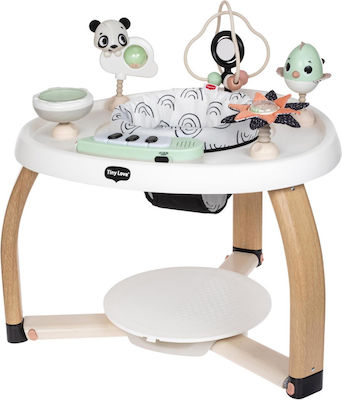 Tiny Love Activity Table