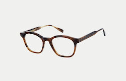 Gigi Barcelona Women's Acetate Brown Tortoise P...