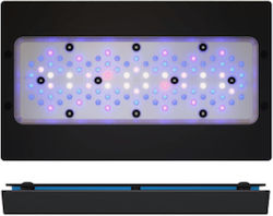 Ecotech Marine Led-Lampe für Aquariumbeleuchtung mit Blau Licht 215W Ecotech Marine Led-Lampe für Aquariumbeleuchtung mit Blau Licht 215W