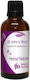 Nature & Body Βάμμα Βάμμα 50ml St John's Wort