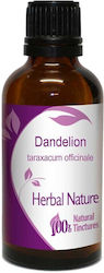 Nature & Body Tincture Dandelion Tincture 50ml