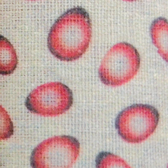 LiebeQueen Decoration Fabric Loneta 150x500cm Red (#FF0000)