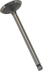 TKRJ Motorcycle Intake Valve Honda LEAD