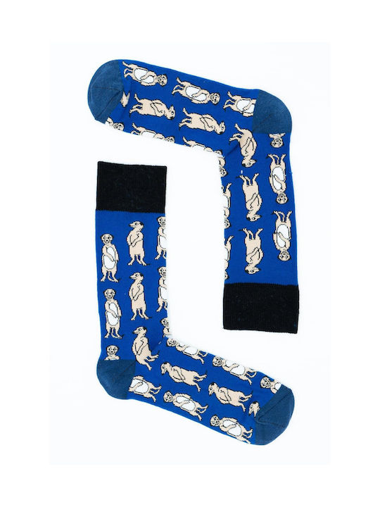 Jokers Herren Socken Blau 1Pack