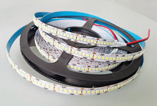 VK Lighting LED Strip 24V Natural White Light Type SMD2835