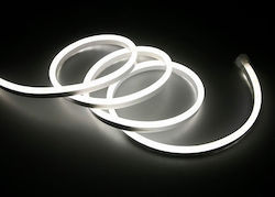 Evivak Ταινία Neon Flex LED Μήκους 50m