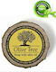 Olive Tree Hotel Soap 15g in Packaging 1000 Pieces