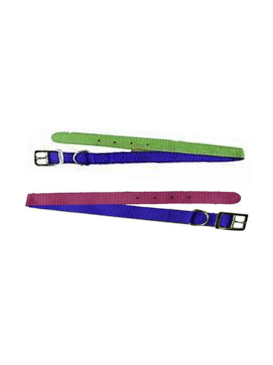 Petler Dog Collar Small 40cm