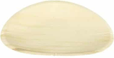 Ready Πιάτο μιας Χρήσης Ø15cm 50τμχ