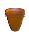 Νο Topf Kunststoff Mustard