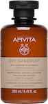 Apivita Dry Dandruff Shampoos gegen Schuppen für Trockenes Haar 1x250ml