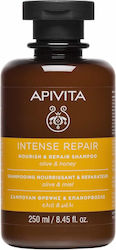Apivita Intense Repair Olive & Honey Șampon Rec...