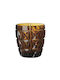 Mario Luca Giusti Stella Glass Water made of Glass in Honey Color