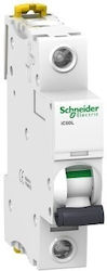 Schneider Electric Αυτόματη Ασφάλεια 25A Μονοπο...