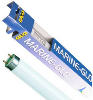 Hagen Φωτιστικό Ενυδρείου με Λάμπα T8 40W 120cm