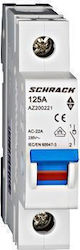 Schrack Panel Switch 125A