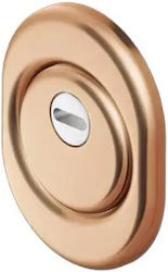 Disec Defender Lock Bronze